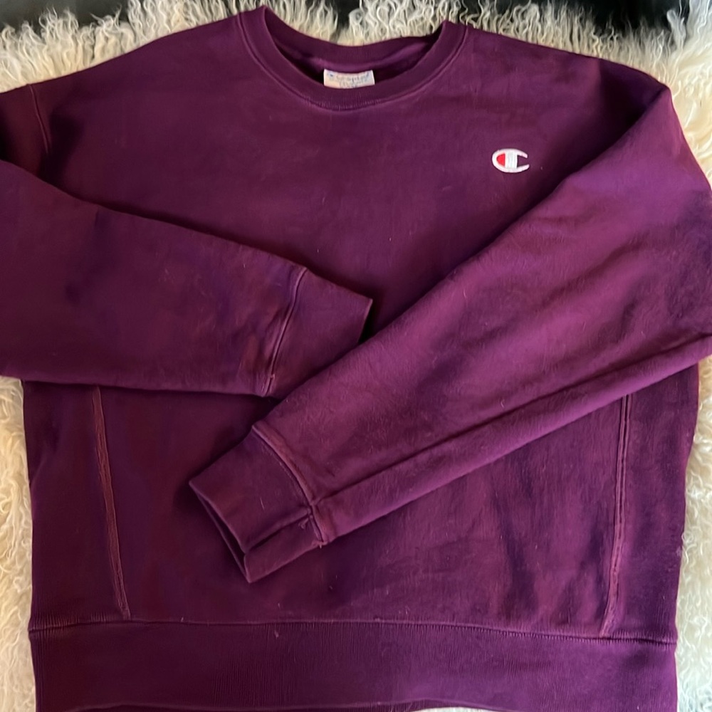Champion Cropped Sweatshirt